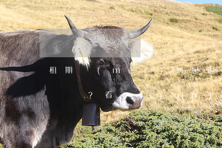 租期沒(méi)到想退房 | 怎么辦？看過(guò)來(lái)